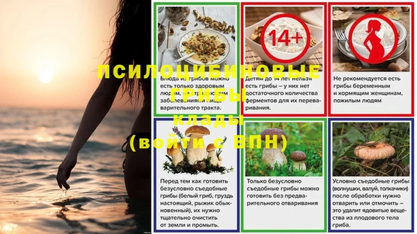 кокаин перу Бородино