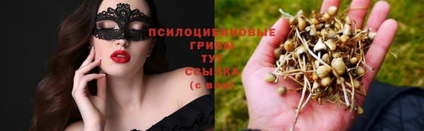 дмт Богородицк