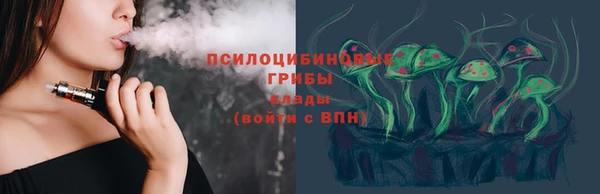 дмт Богородицк