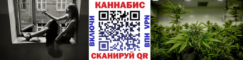 Конопля гибрид Морозовск